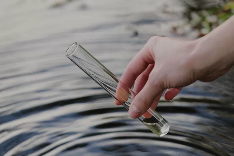 الرصد البيئي