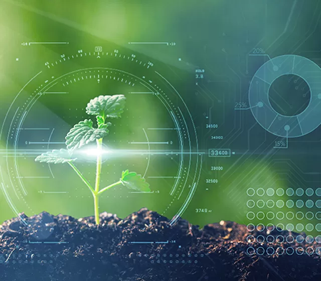 الرصد البيئي